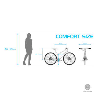 Desiknio - CLASSIC Commuter e-Bike mit tiefem Einstieg